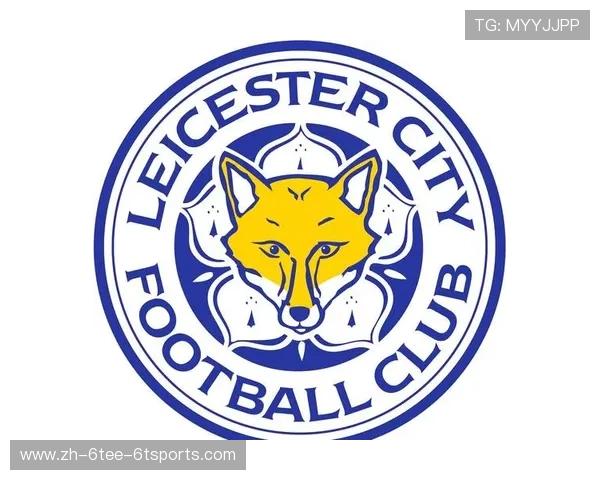 英超各球队的全称与简称解析