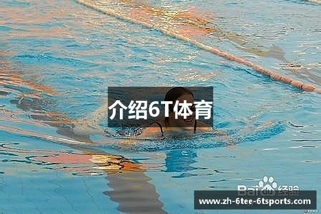 介绍6T体育